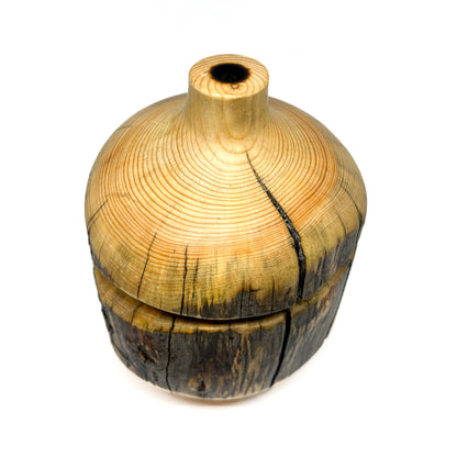 Horizontal Glass & Wildfire Pine Vase