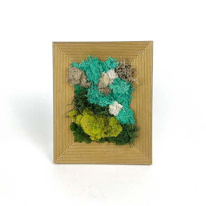 Medium Gold Moss Frame