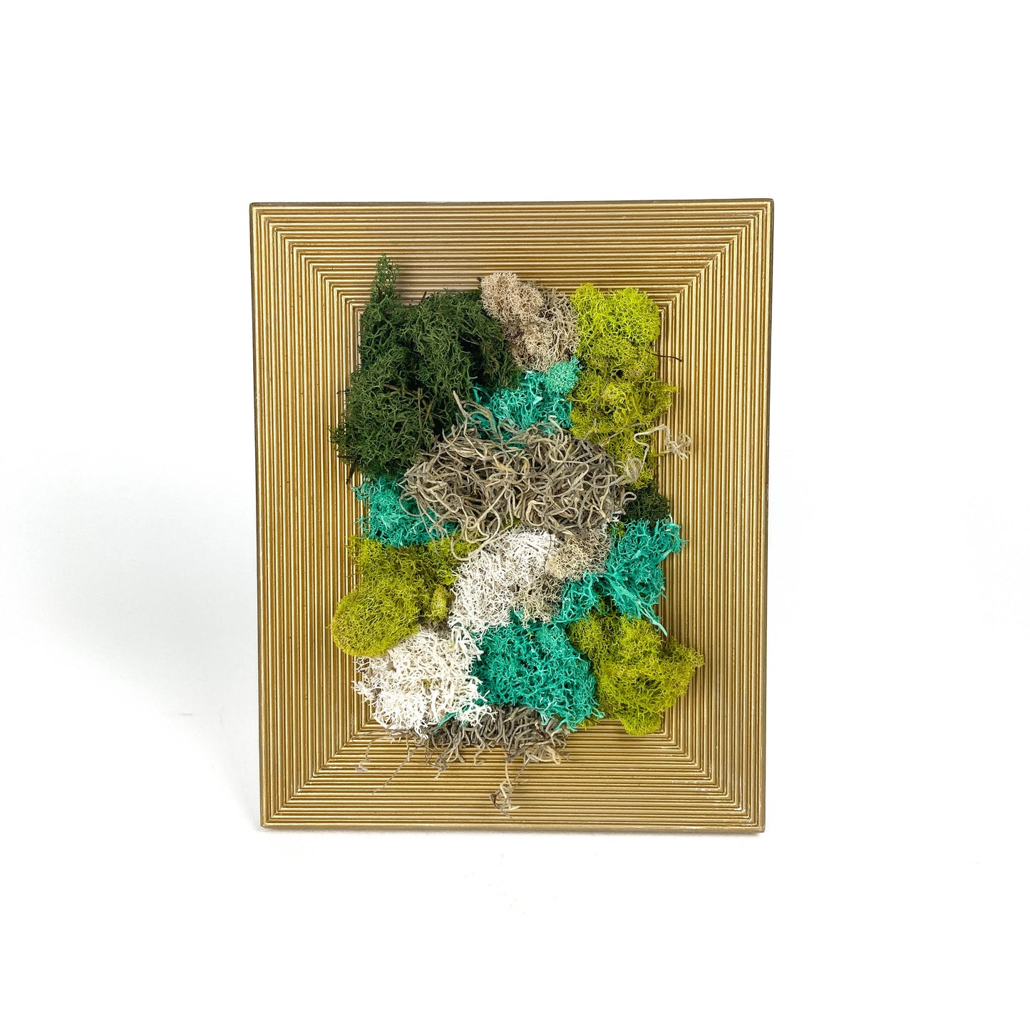 Medium Gold Moss Frame