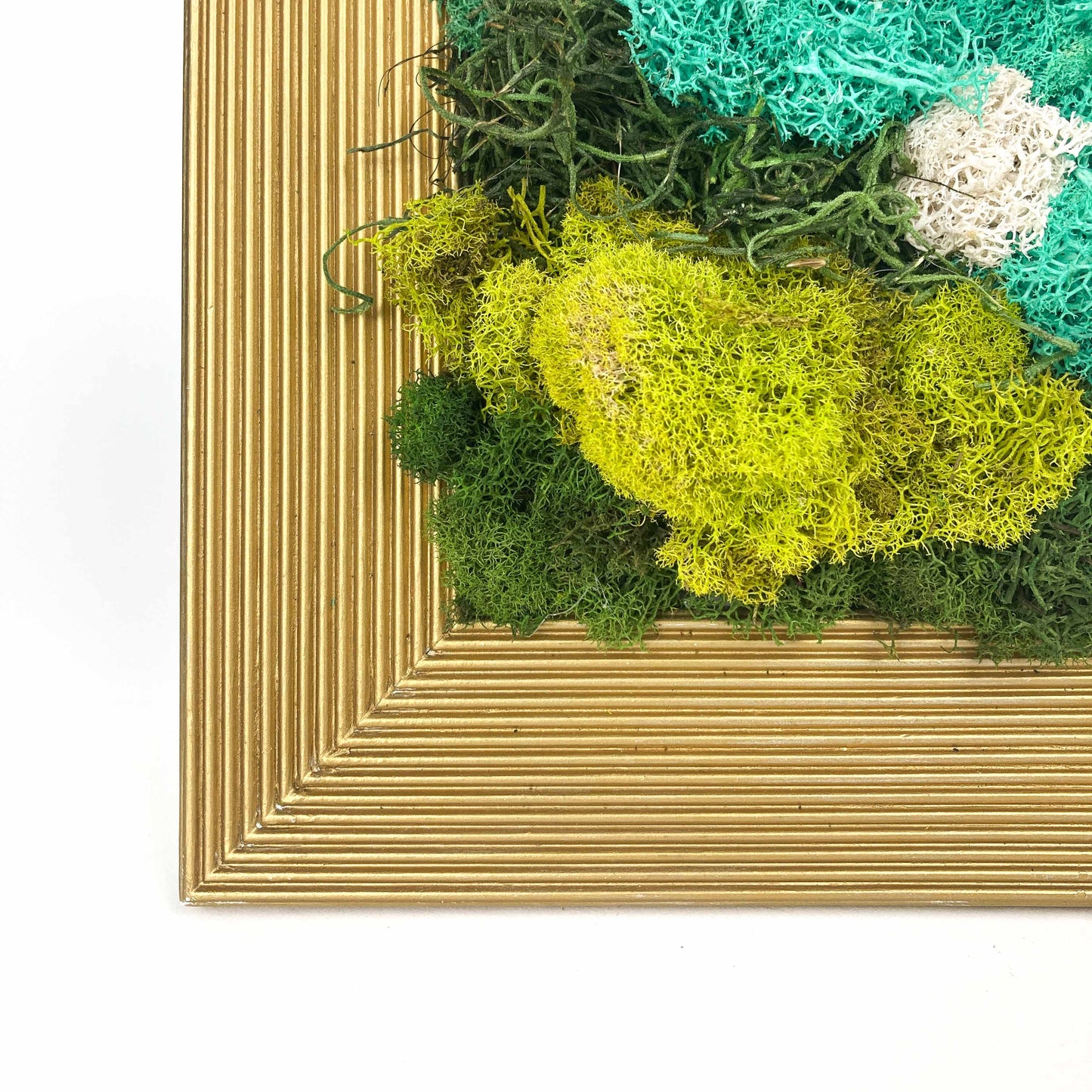 Medium Gold Moss Frame