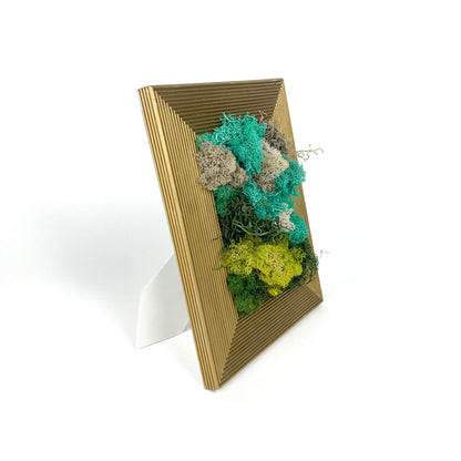 Medium Gold Moss Frame